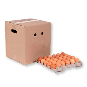 Huevo caja 180 unidad extra