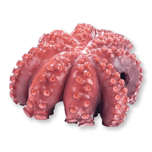 Pulpo kilo entero sin procesar